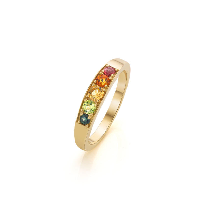 Regenboog ring in 14 karaat Geelgoud